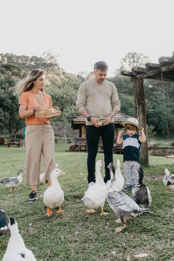 Alojamento Chalés Família Fioreze Gramado