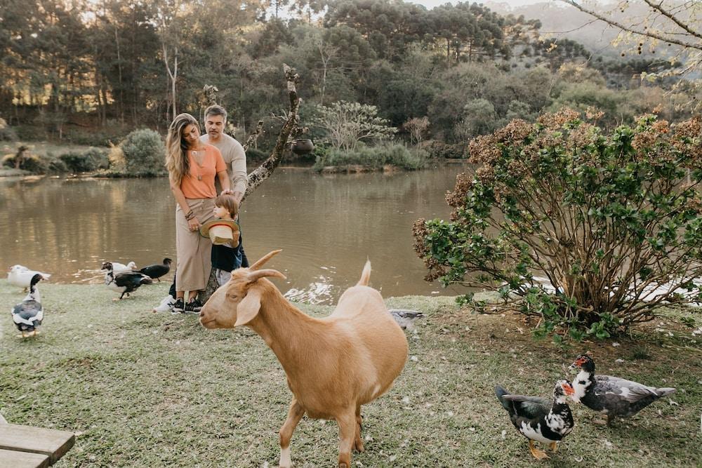 Alojamento Chalés Família Fioreze Gramado